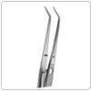 35 - Tooth Tweezers